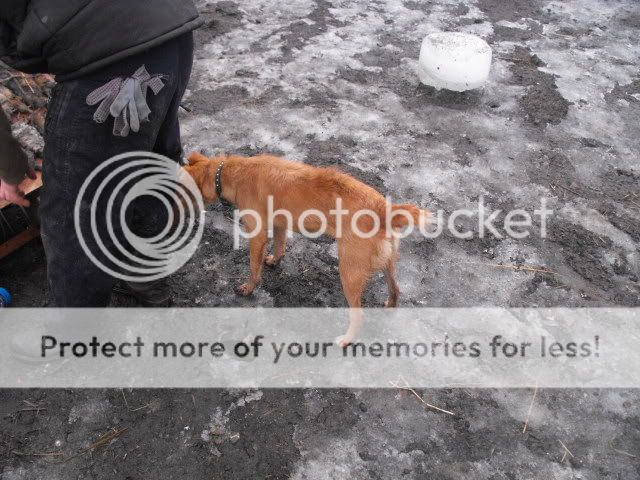 Picture008.jpg