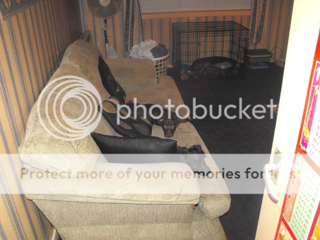 Picture022.jpg