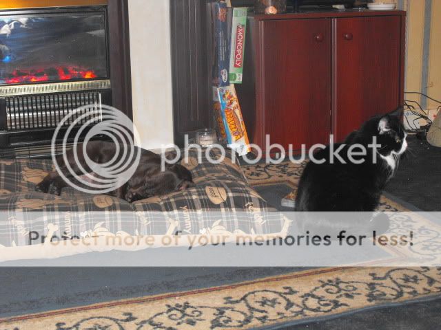 Picture023.jpg