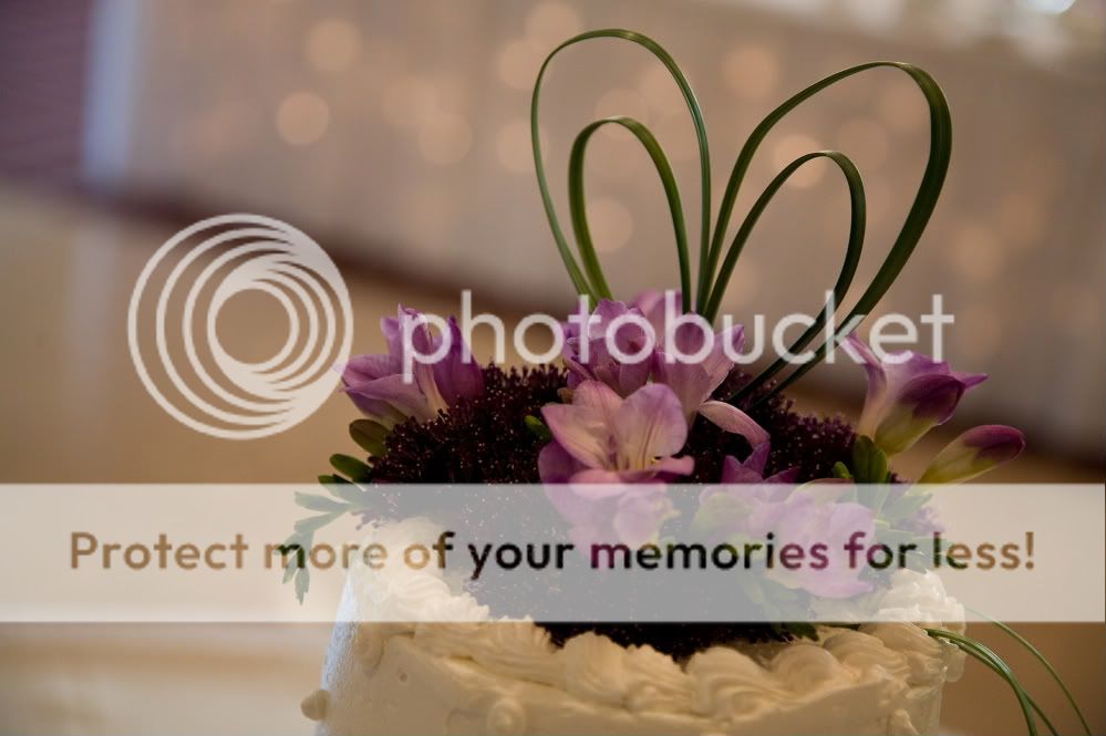 IMAGE: http://i458.photobucket.com/albums/qq309/jlrichmond76/DPP_008.jpg