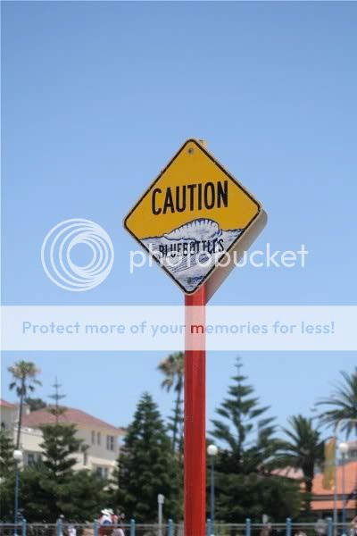 Sydney-2
