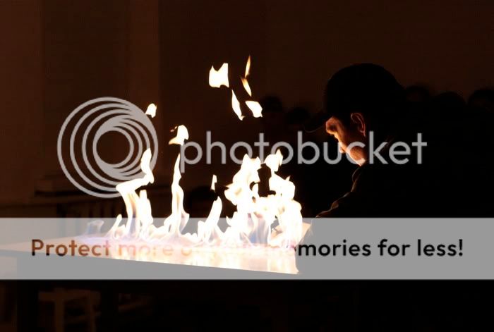 Flower for Pina Bausch