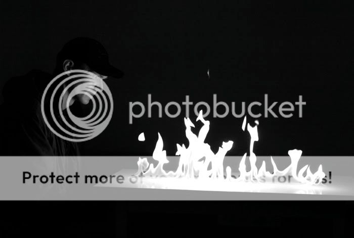 "Flower for Pina Bausch"